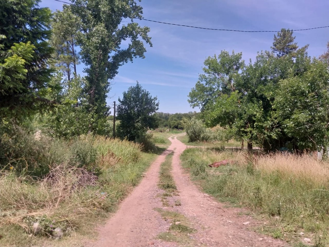 Casa con salida al Rio Carcaraña con una hermosa vista emplazada en 990 m2 con 2 ingresos mas pileta  ideal para un emprendimiento