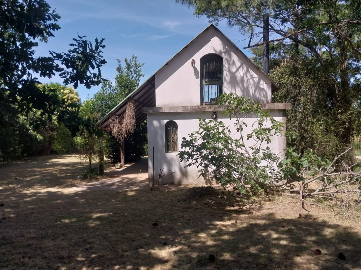 Casa con salida al Rio Carcaraña con una hermosa vista emplazada en 990 m2 con 2 ingresos mas pileta  ideal para un emprendimiento