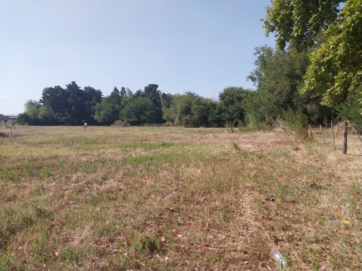 VENTA: 3 LOTES JUNTOS O SEPARADOS SE ESCUCHAN OFERTAS EXCELENTE UBICACION CON SALIDA A LA RUTA VALOR NEGOCIABLE